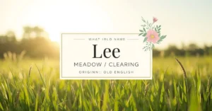 The Name Lee Mean?