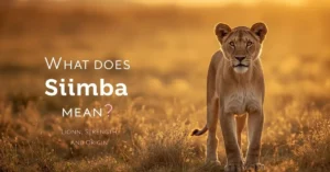 Simba meaning lion image