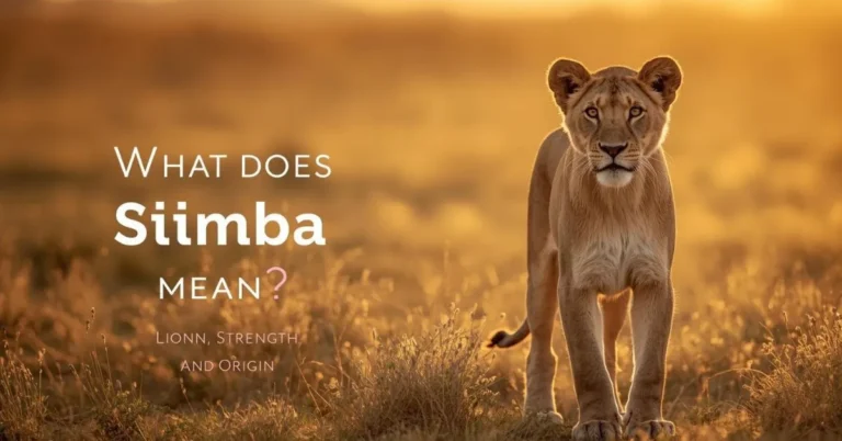 Simba meaning lion image