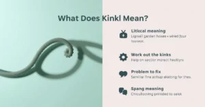 kink meaning guide
