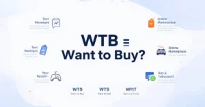 WTB meaning guide image
