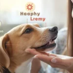 dog licking owner hand