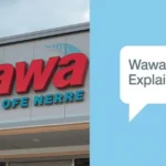Wawa meaning explained with store sign and alternate word meanings