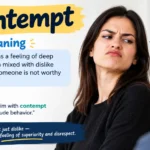 Contempt Meaning
