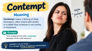 Contempt Meaning