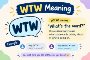 WTW Meaning